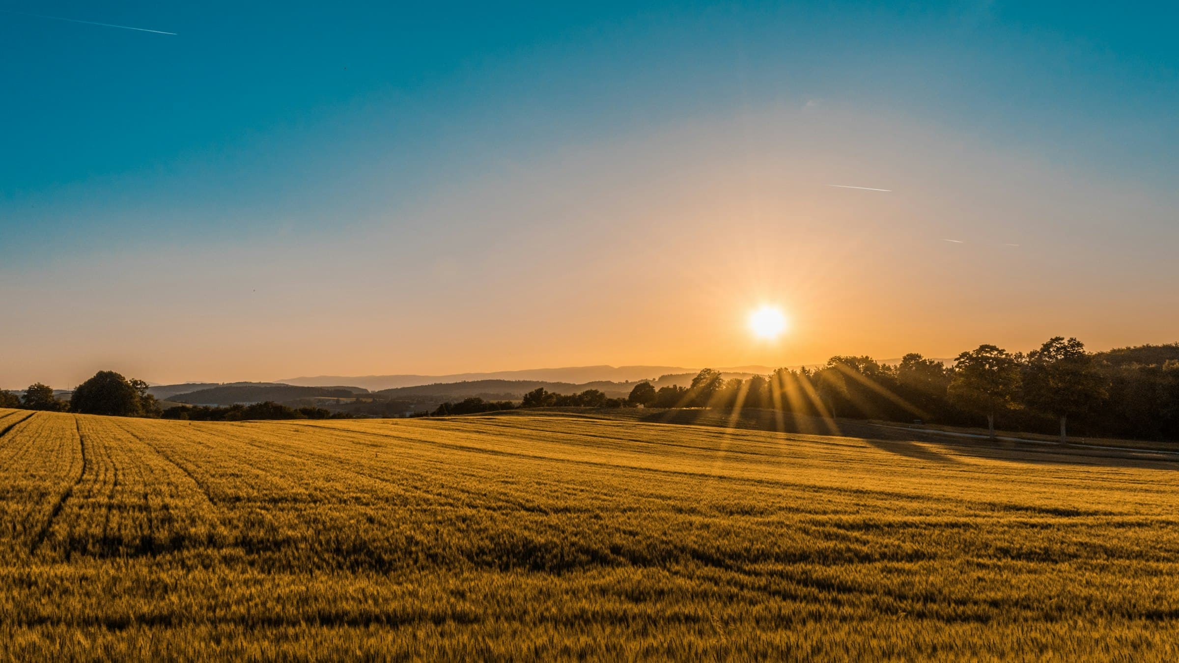 Golden California hills